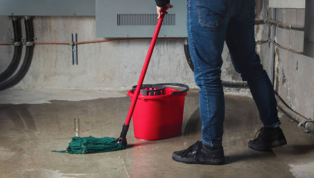 Best Water damage mitigation services  in Crystal, MN