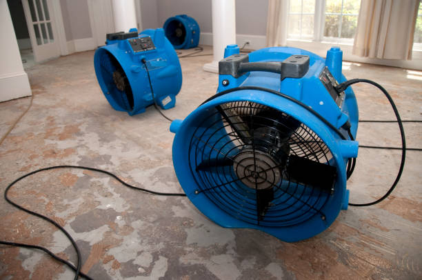 Best Flood damage cleanup  in Crystal, MN