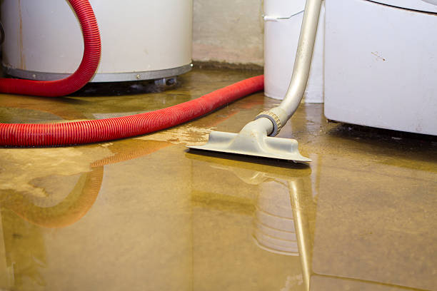 Best Water damage cleanup near me  in Crystal, MN